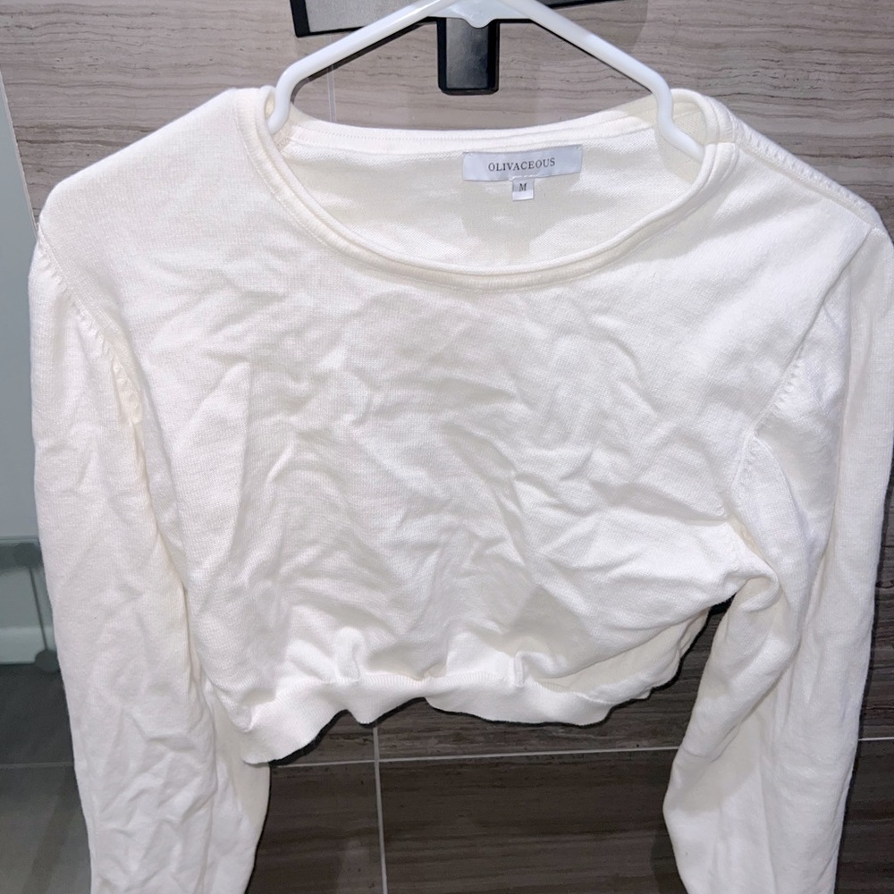Long Sleeve Crop Top